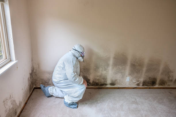 Best Forensic Mold Investigation  in Overland Park, KS